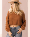 Pom Pom Sleeve Cropped Sweater