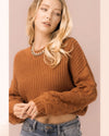 Pom Pom Sleeve Cropped Sweater